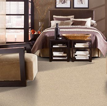 Alexander Smith Carpet Collection Coos Bay Or Abbey Carpet