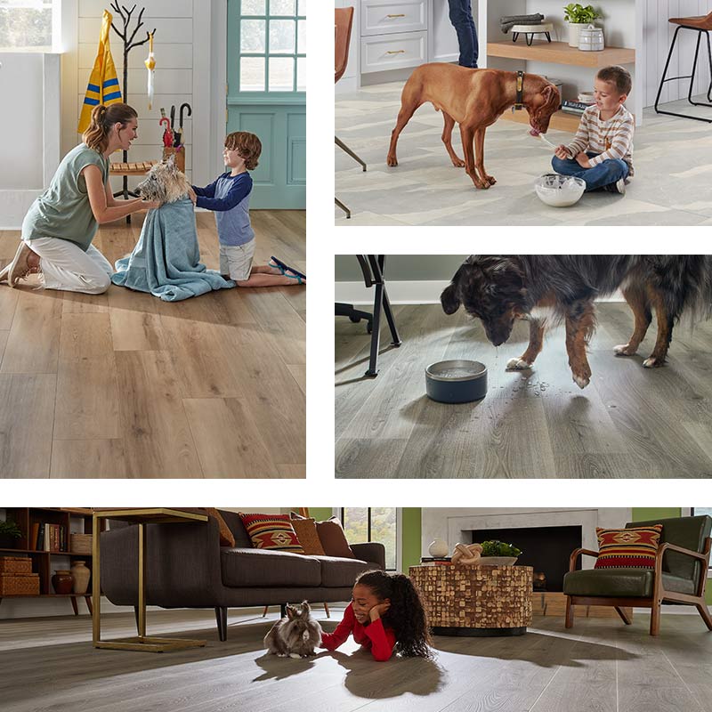 Petdefense hard surface flooring exclusively at Abbey Carpet & Floor