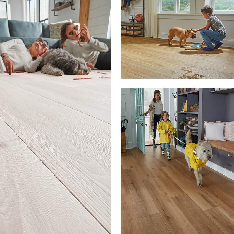Petdefense hard surface flooring exclusively at Abbey Carpet & Floor