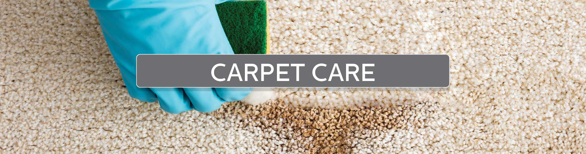 Carpet Care